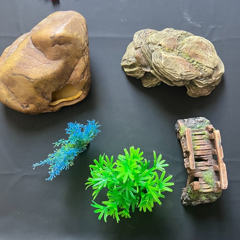 Hamster Mouse Gerbil Aquarium Accessories Habitat